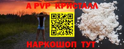 гашик Пыть-Ях