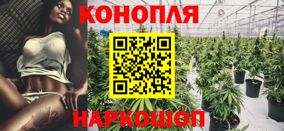 Бошки марихуана VHQ  Конопля AK-47  Нарткала  Вход с VPN 